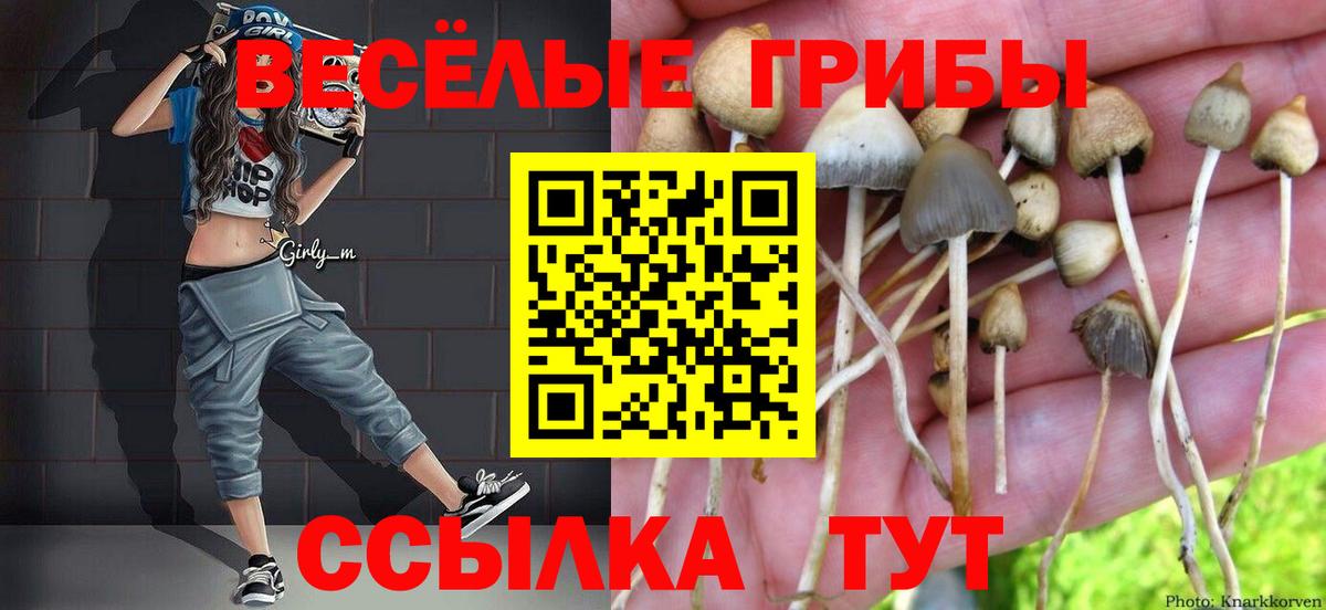 Псилоцибиновые грибы Magic Shrooms  магазин продажи наркотиков  Таганрог  Вход с VPN  Псилоцибиновые грибы мицелий 